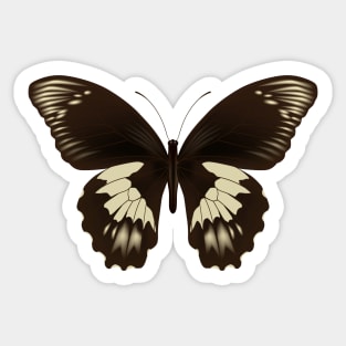 beautiful butterfly Sticker